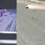 Imagem; Reprodução