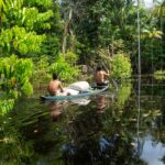 Biodiversidade Amazonica