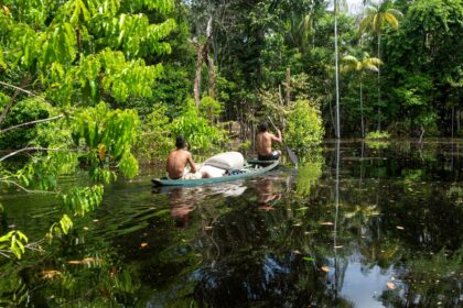 Biodiversidade Amazonica