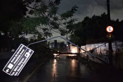 Repropdução: Divulgação