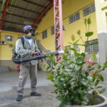 Dengue 1024x682 1