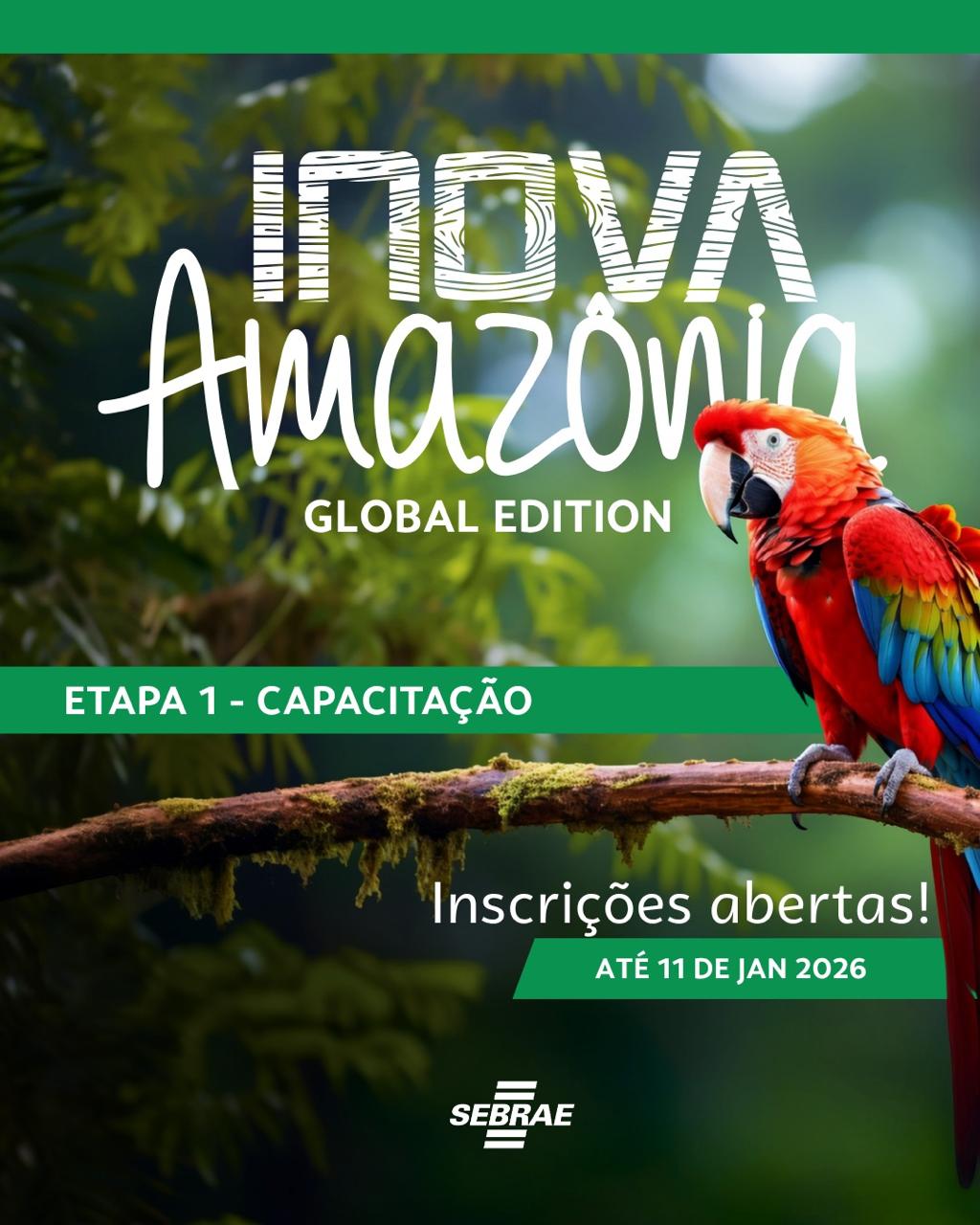 Fonte: Divulgação